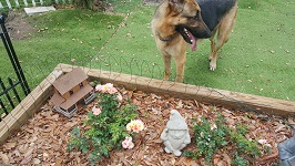 Backyard Railroad Station Planter In Bloom
