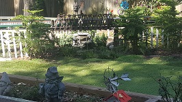 Backyard Railroad Dressed Up Pond With Waterfall