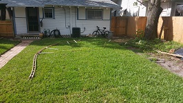 Backyard Railroad Work Begins Again