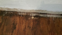 Kitchen Flooring Of Thousands Of Plugs