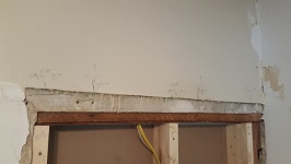 The Framing Detail Saved For Posterity